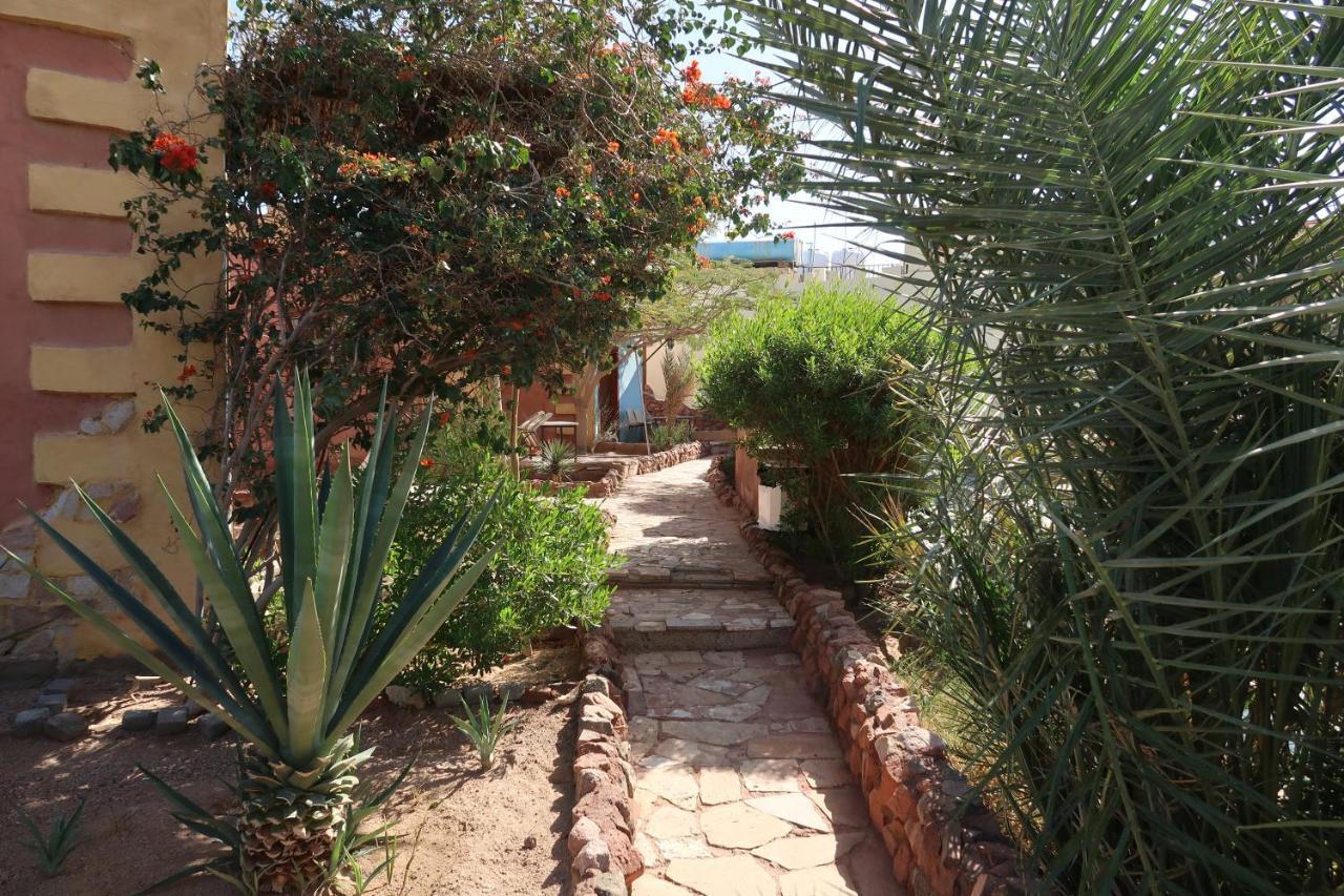 Bedouin Moon Village - Aqaba Al Burj エクステリア 写真